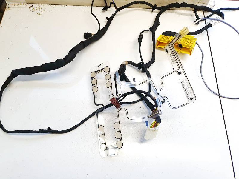 319854 BMW 5-Series 2012 Sedynes sildymo elementas