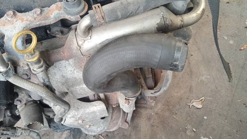 Opel Astra 2004 Interkulerio zarna -  slanga - Thumbnail 3