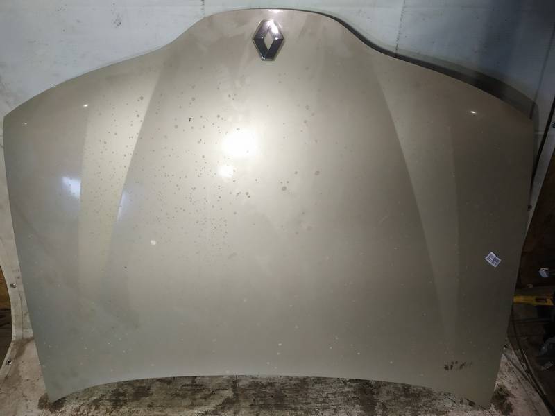 RUDAS Renault Laguna 2003 Hood
