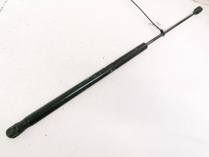 3m51r406a10ab-3m51-r406a10-ab-trunk-luggage-shock-lift-cylinder-gas