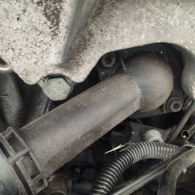 Volkswagen Passat 2001 Thermostat Housing (Flange) - Thumbnail 3