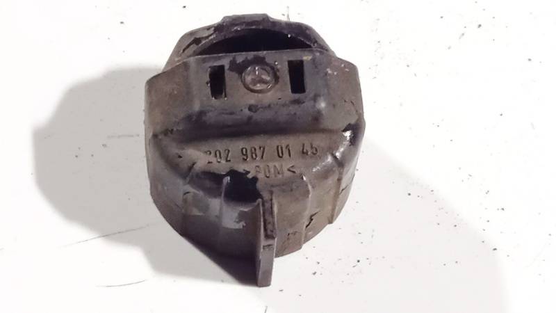 2029870145 Mercedes-Benz C-CLASS 1994 Inne części