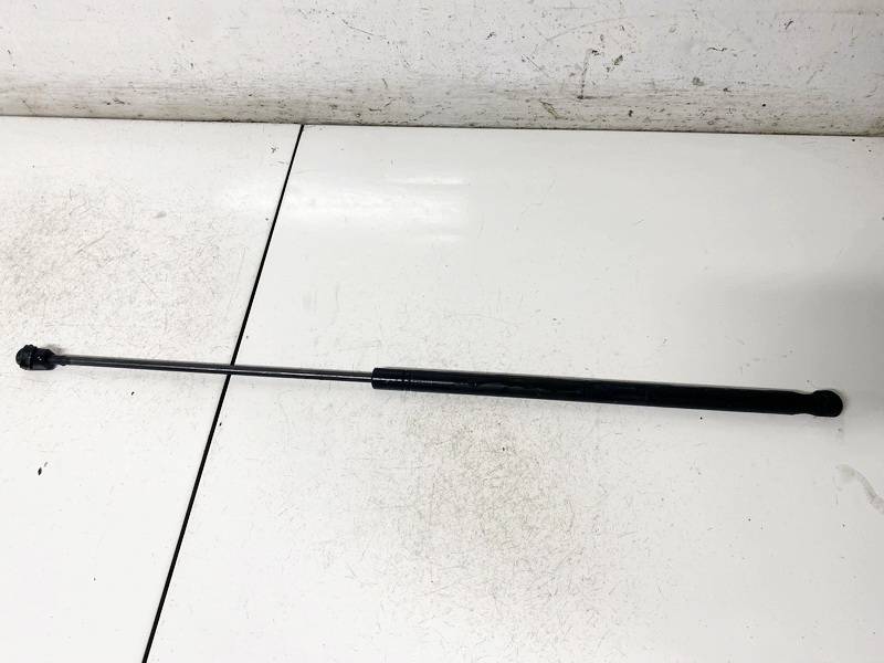 244544730512 Opel Vectra 2003 Hood Support (strut hood) - FRONT
