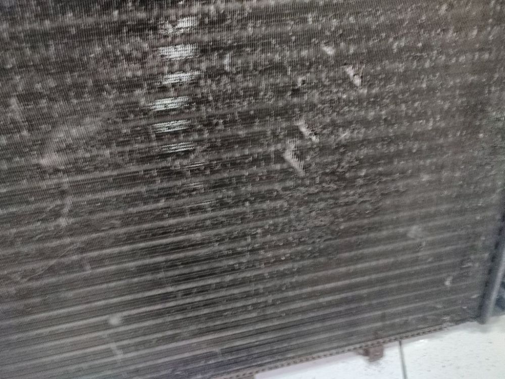 Renault Scenic 2000 Vandens radiatorius (ausinimo radiatorius) - Thumbnail 5