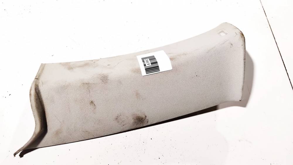 3C9867242D Volkswagen Passat 2010 Salono apdaila (plastmases)