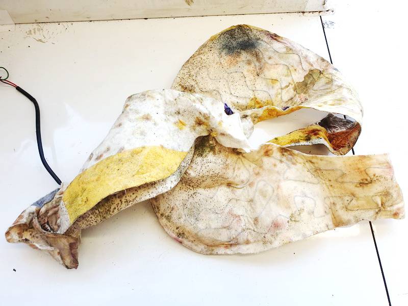 9208192 Rover 75 2000 Seat heating element