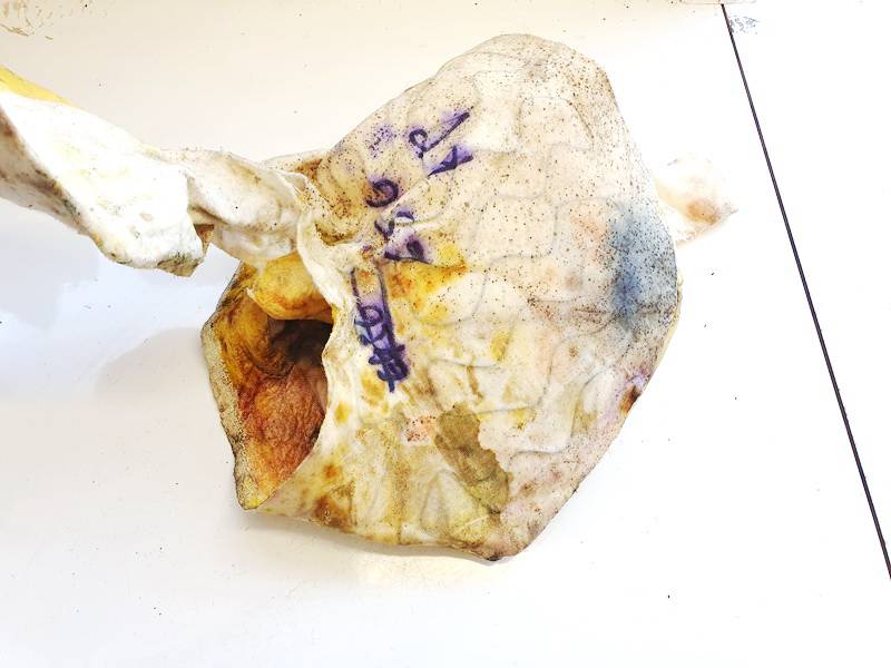 9208192 Rover 75 2000 Seat heating element - Thumbnail 3