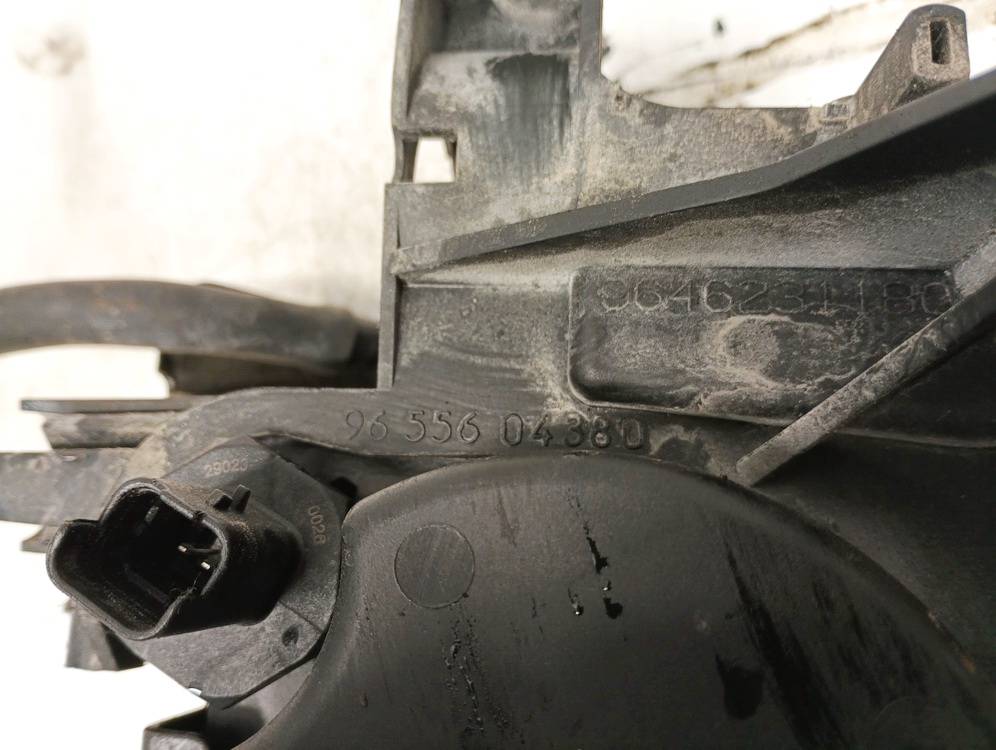 9655604380 Ford Fiesta 2009 Fuel filter - Thumbnail 4