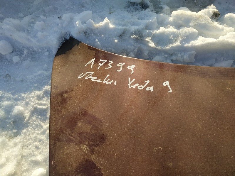 VYSNINIS Mazda Xedos-9 2000 Hood - REAR - Thumbnail 3