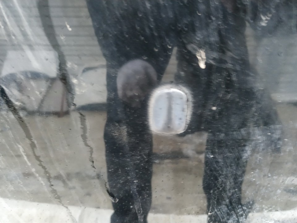 SAAB 9-5 2005 Priekšējā stikla mazgāšanas sprausla