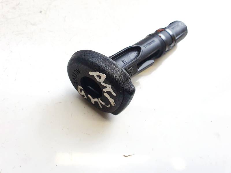 330188061 Renault Laguna 2008 Innenausstattung