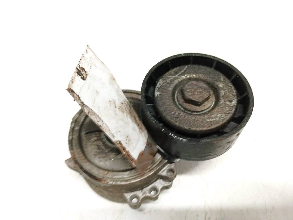 Peugeot 4007 2010 Napinacz paska (napinacz paska rozrządu)