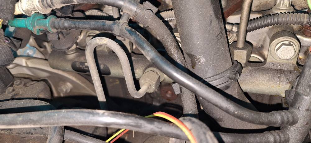 Peugeot 206 (2A/C/H/J/S) Hatchback 2.0 XS,XT HDi (DW10TD(RHY)) INJECTIEGALERIJ  2002  0445214019