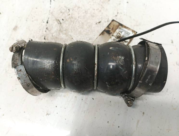 Citroen C4 Grand Picasso 2006 Interkulerio zarna -  slanga