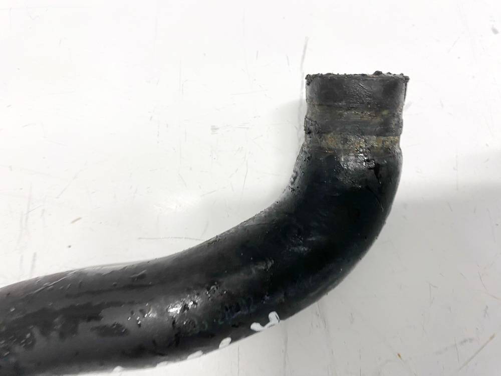 3332882 Audi A8 2002 Tuyau de Radiateur - Thumbnail 2