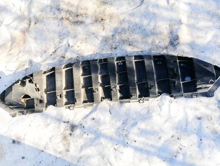 44328 Renault Laguna 2008 Bodenschutz