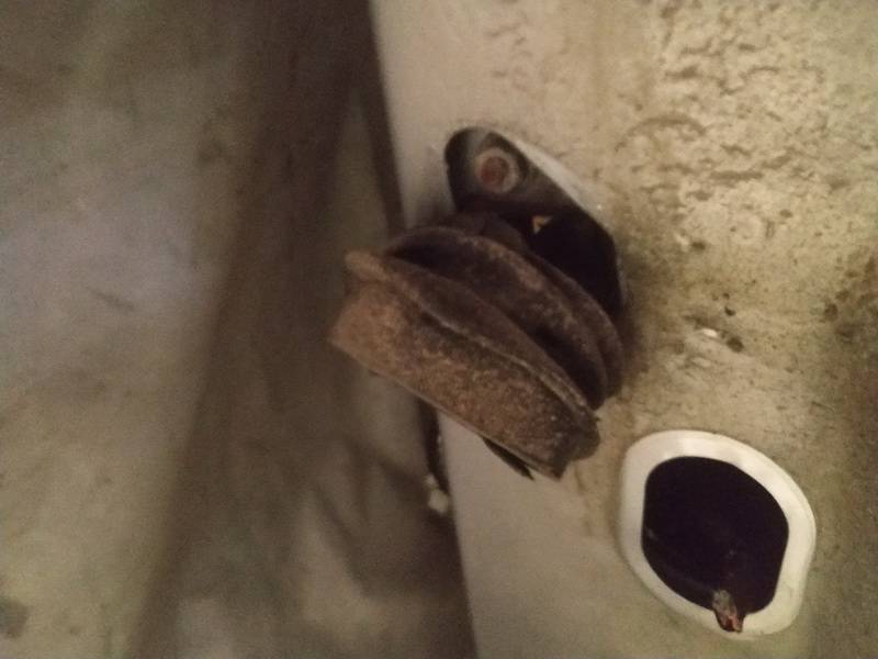 Citroen C8 2002 Door Check (Strap) - FRONT LEFT - Thumbnail 2