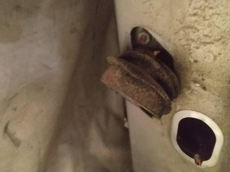 Citroen C8 2002 Door Check (Strap) - FRONT LEFT