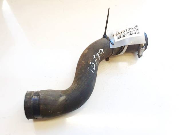 Citroen C4 Picasso 2008 Vandens slanga