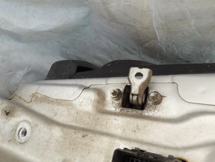 Opel Vectra 2002 Door Check (Strap) - FRONT LEFT - Thumbnail 3