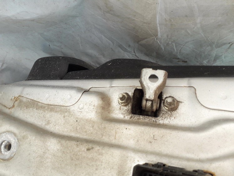 Opel Vectra 2002 Door Check (Strap) - FRONT LEFT - Thumbnail 2