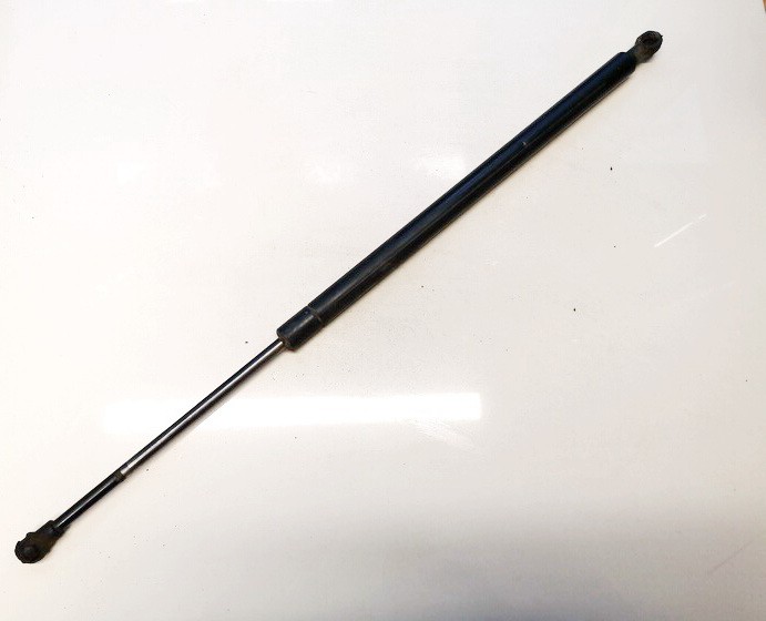 51248402405 BMW X5 2005 Hood Support (strut hood) - FRONT