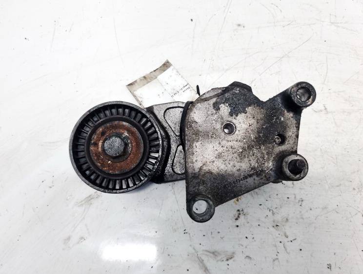 Ford C-MAX 2008 Napinacz paska (napinacz paska rozrządu)