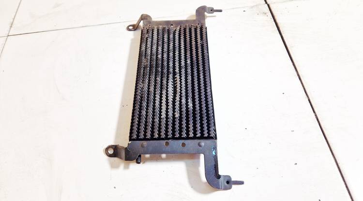 Citroen C4 2005 Kuro radiatorius (ausinimas) (Benzino - Dyzelio) - Thumbnail 3