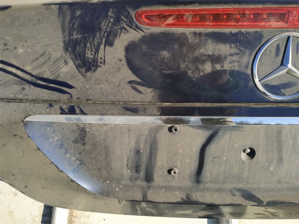 Mercedes-Benz E-CLASS 2003 Galinio dangcio isorine apdaila (numerio apsvietimas) G. - Thumbnail 2