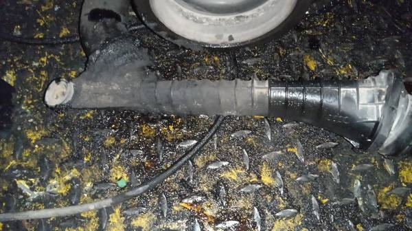 1J0145762T Skoda Octavia 2004 TURBO INTERCOOLER PIPE HOSE