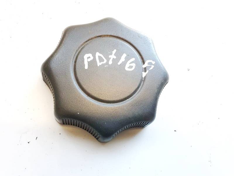 Ford Focus 2006 Salono apdaila (plastmases)