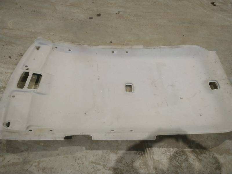 Peugeot 4007 2007 Stogo apmusimas