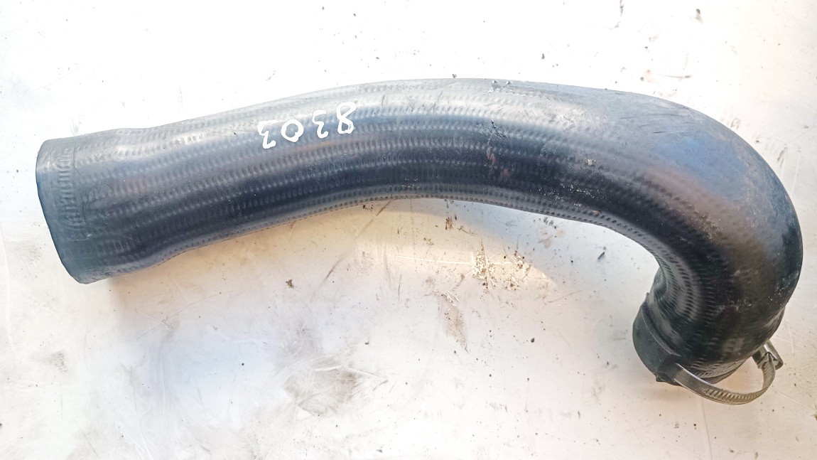 13289465 SAAB 9-5 2006 Interkulerio zarna - slanga