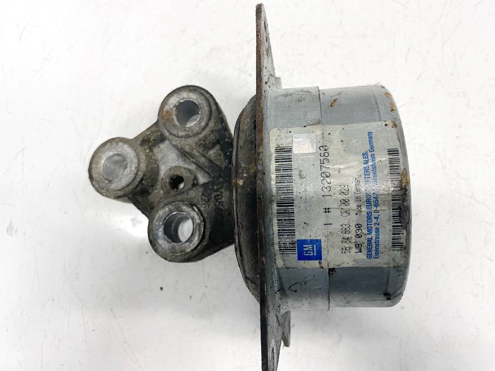 V05609 Opel Signum 2003 Motora spilveni