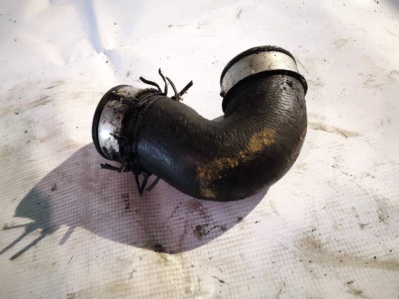 Skoda Octavia 2008 Interkulerio zarna -  slanga