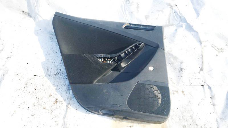 3C5867211 Volkswagen Passat 2008 Door Panel - REAR LEFT