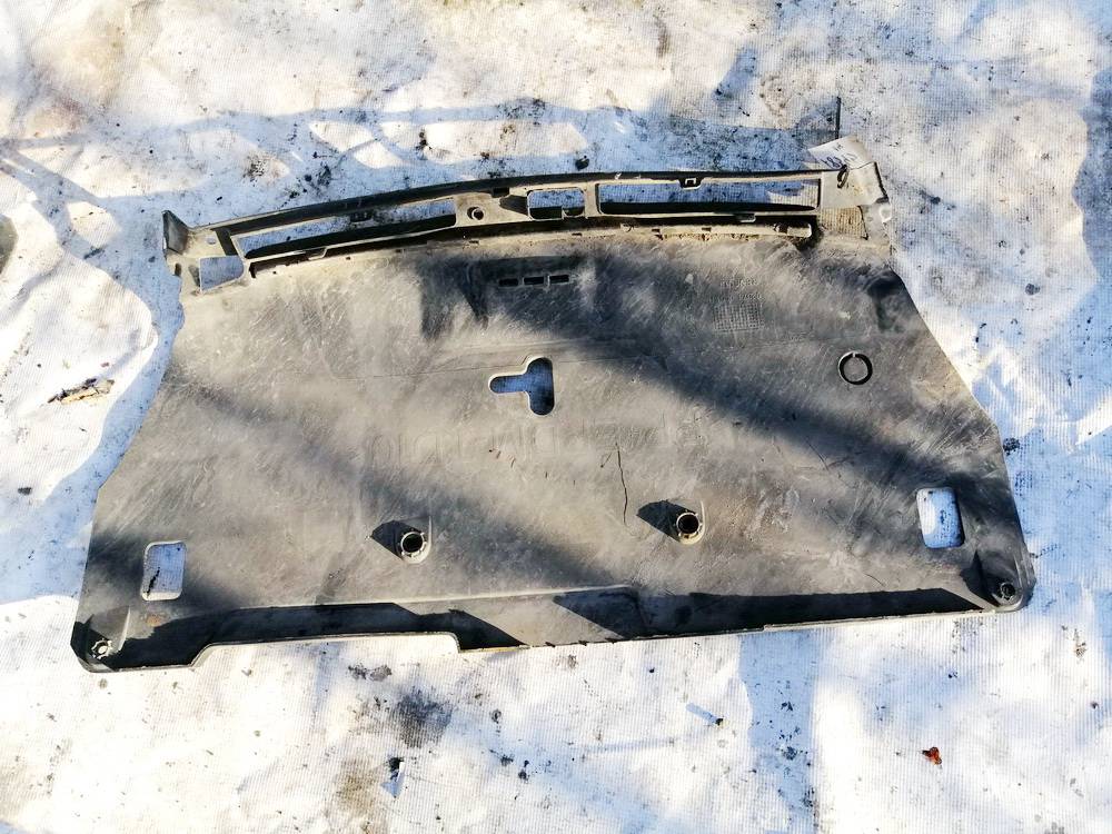 620780001 Renault Laguna 2008 Aizsargs virs radiatora - Dzinēja pārsega slēdzenes apdare - Thumbnail 2