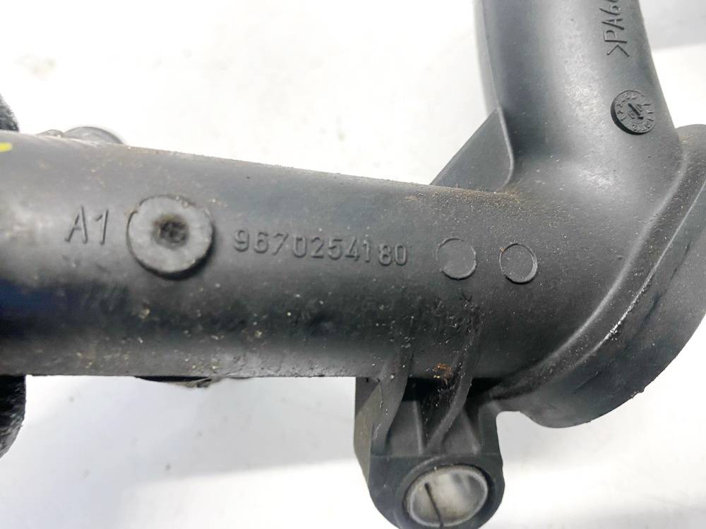 9670254180 Citroen C3 Picasso 2010 Coolant Flange (Engine Coolant Thermostat Housing Cover) - Thumbnail 4