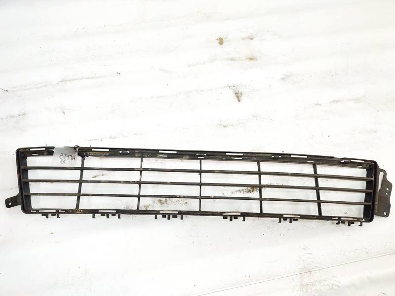 Ford S-Max 2007 Bumper Grille - FRONT CENTER