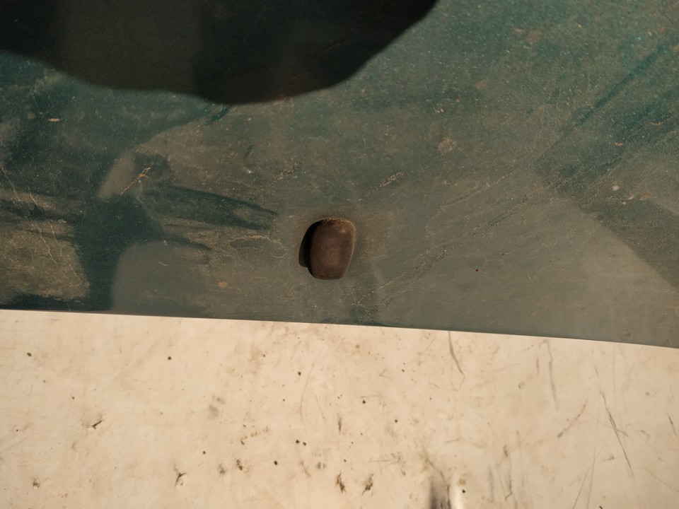 Ford Focus 1999 Priekinio stiklo apiplovimo purkstukas