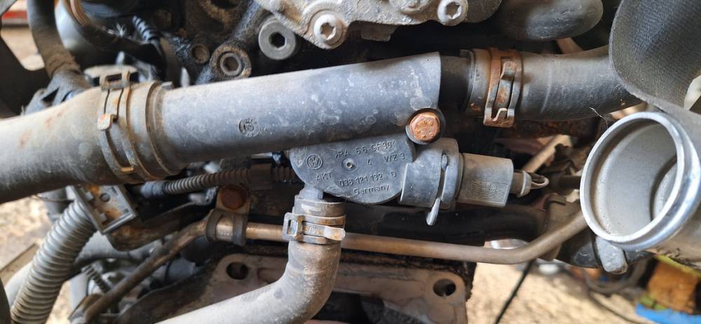 038121132D Volkswagen Golf Plus 2006 Thermostat Housing (Flange)