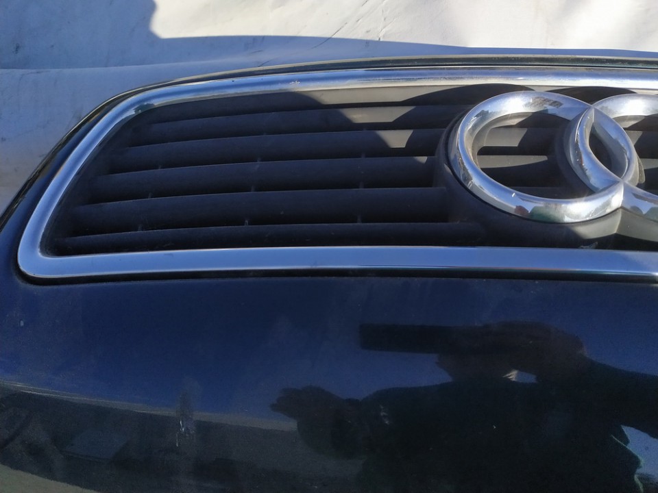 Audi A4 1996 Priekines groteles P. - Thumbnail 2