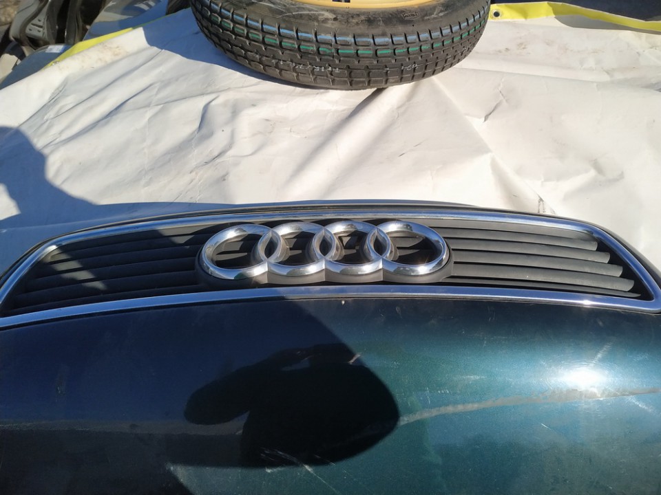 Audi A4 1996 Przednia kratka - PRZEDNIE