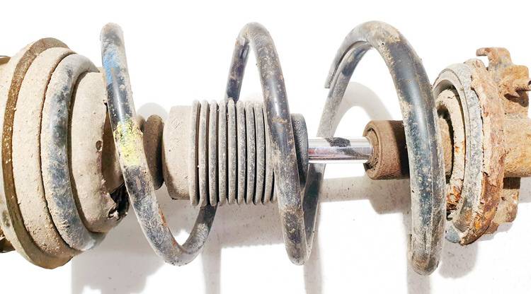 Renault Laguna 2003 MUELLE AMORTIGUACION DELANTERO, Muelle espiral delantero - Thumbnail 3