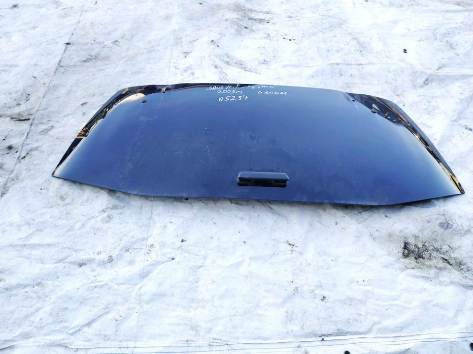 3R000358 SsangYong Rexton 2005 Stiklas G. - Thumbnail 3