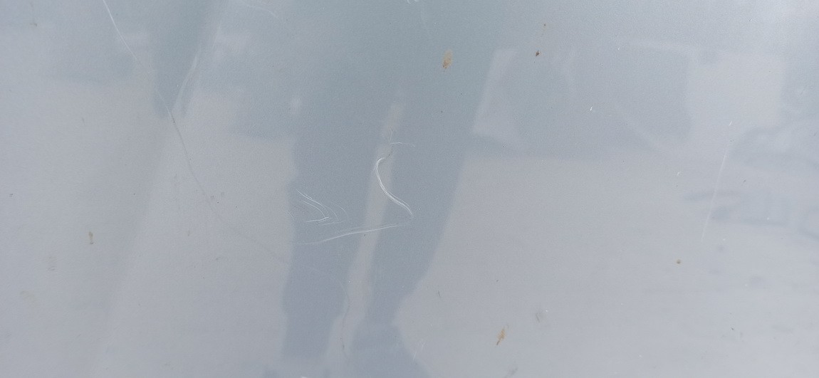 ZYDRA Renault Laguna 2004 Kapotas (Variklio dangtis) - Thumbnail 5