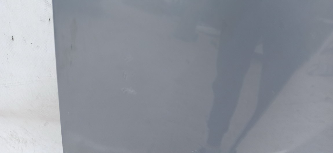 ZYDRA Renault Laguna 2004 Kapotas (Variklio dangtis) - Thumbnail 4