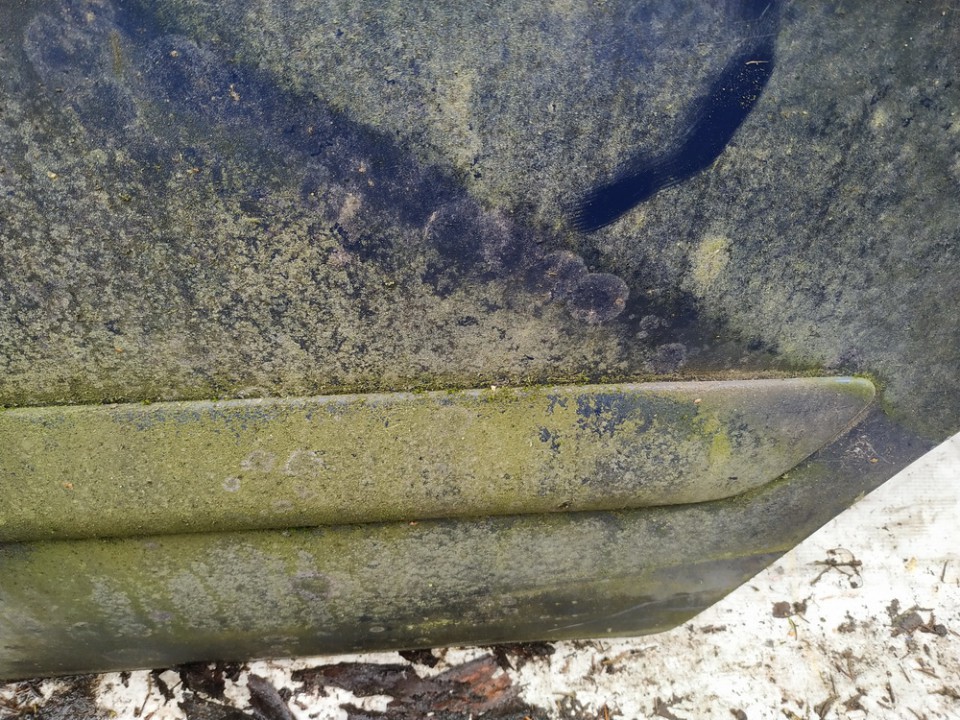 Molding door - rear left side for Mazda 626 UK1478321-57 - Picture 2 of 3