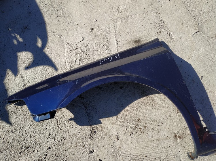 MELYNAS Renault Laguna 2002 Radlauf Kotflügel Vorne links