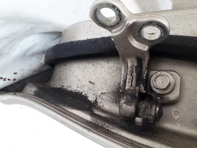 Jaguar X-Type 2004 Galiniu duru vyris G.